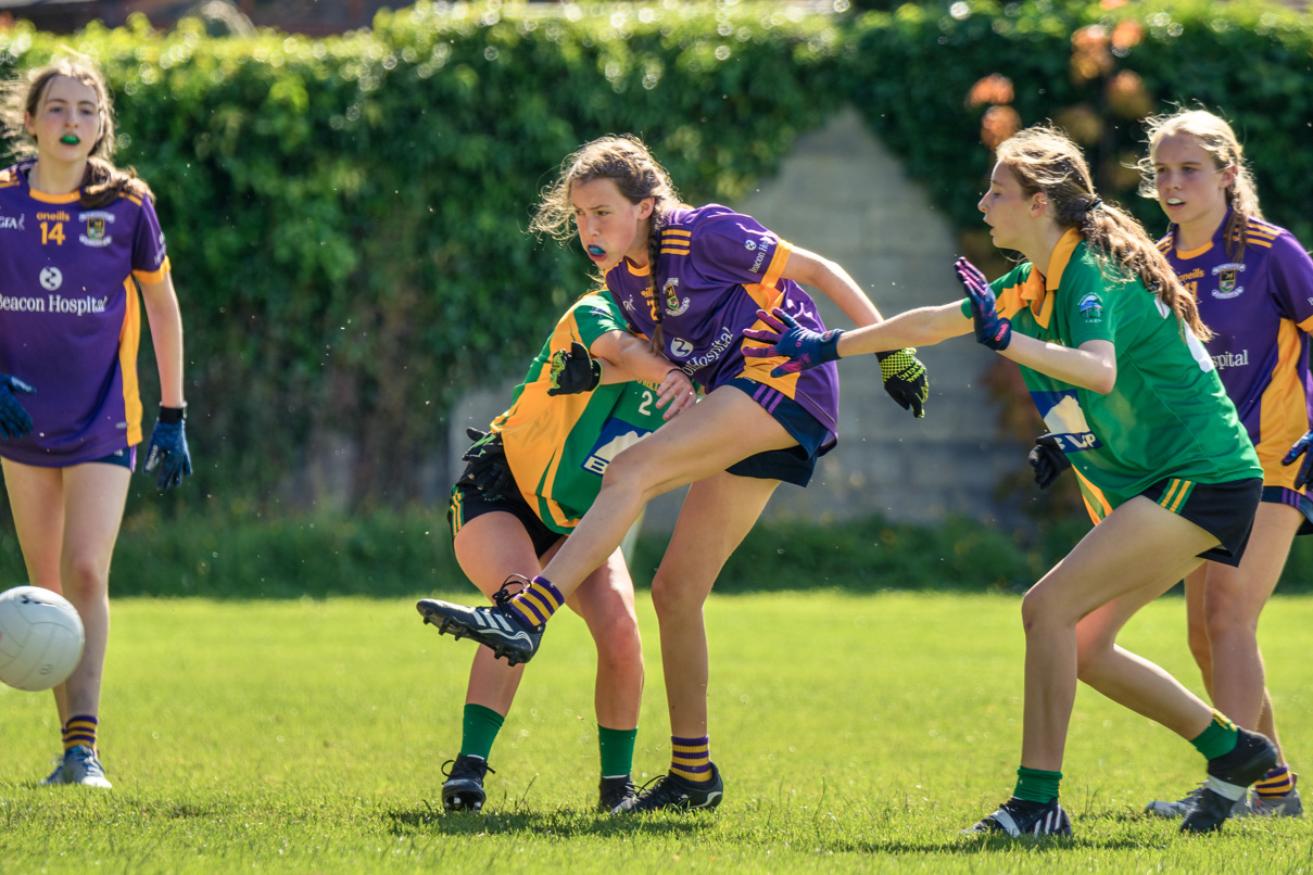 Division 1 Ladies Football Feile Finals Silverpark Saturday July 2nd