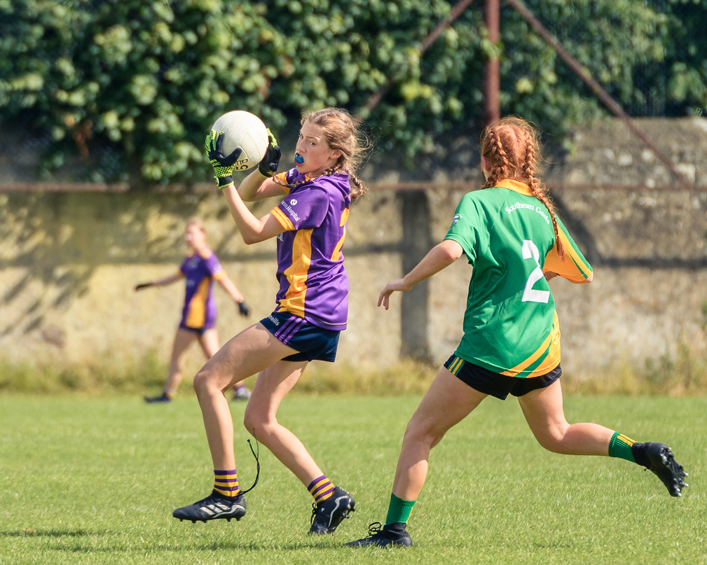 Division 1 Ladies Football Feile Finals Silverpark Saturday July 2nd