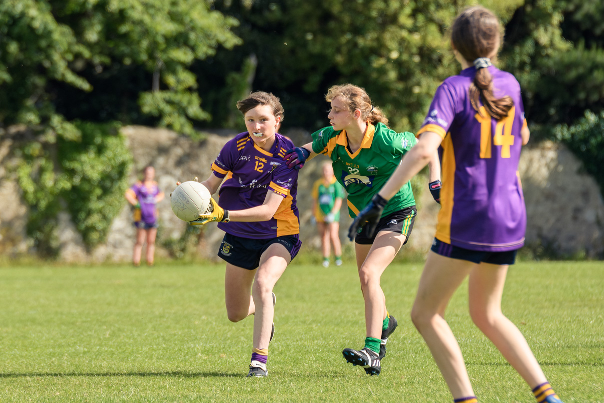 Division 1 Ladies Football Feile Finals Silverpark Saturday July 2nd