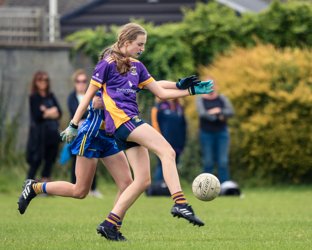 Division 1 Ladies Football Feile Finals Silverpark Saturday July 2nd