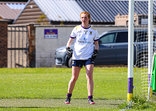 Division 1 Ladies Football Feile Finals Silverpark Saturday July 2nd