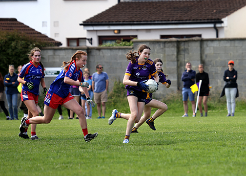 Division 1 Ladies Football Feile Finals Silverpark Saturday July 2nd