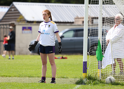 Division 1 Ladies Football Feile Finals Silverpark Saturday July 2nd