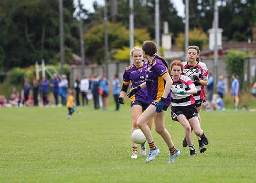 Division 1 Ladies Football Feile Finals Silverpark Saturday July 2nd