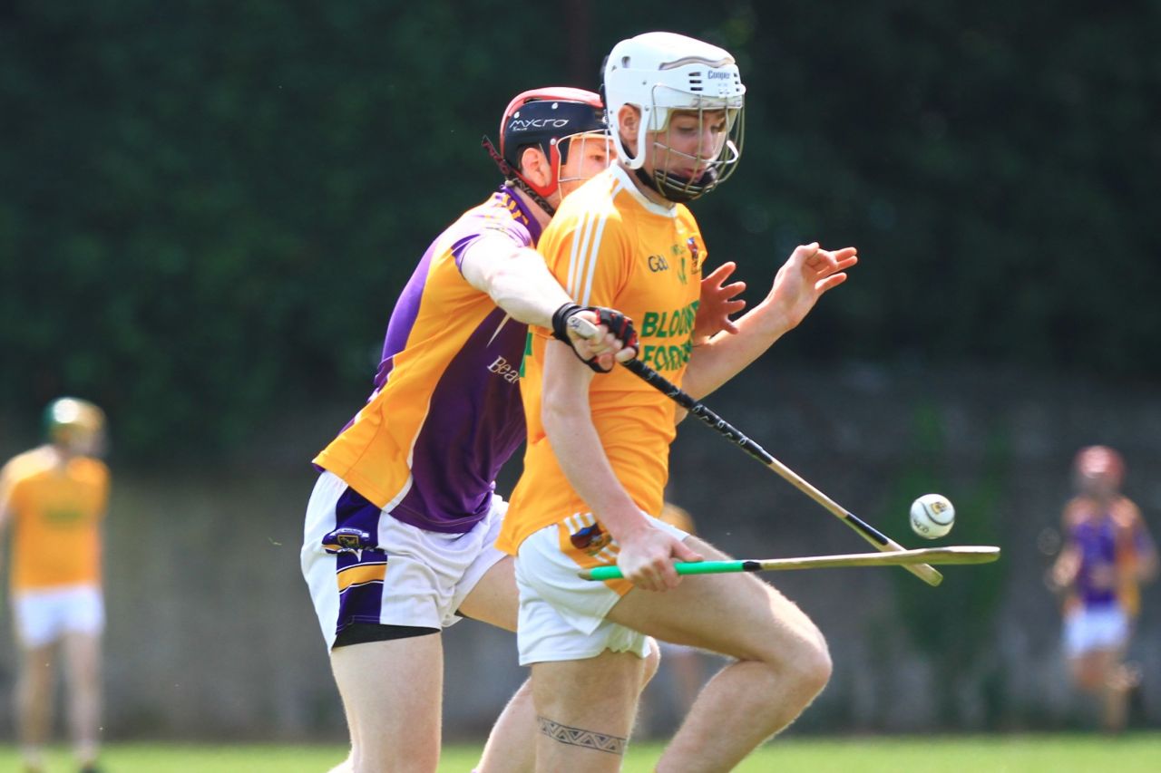 Crokes Team perform well at the Beacon Hospital Hurling  7s