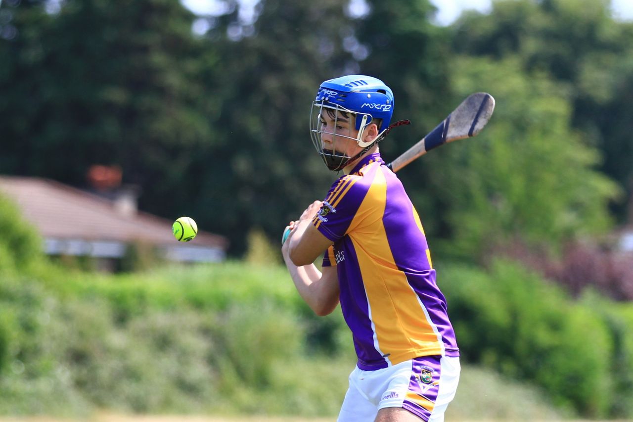 Crokes Team perform well at the Beacon Hospital Hurling  7s