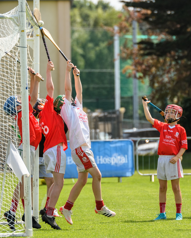  Beacon Hospital Hurling 7s - U12 Final