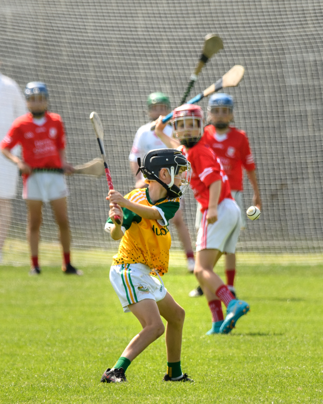  Beacon Hospital Hurling 7s - U12 Final