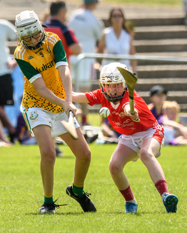  Beacon Hospital Hurling 7s - U12 Final