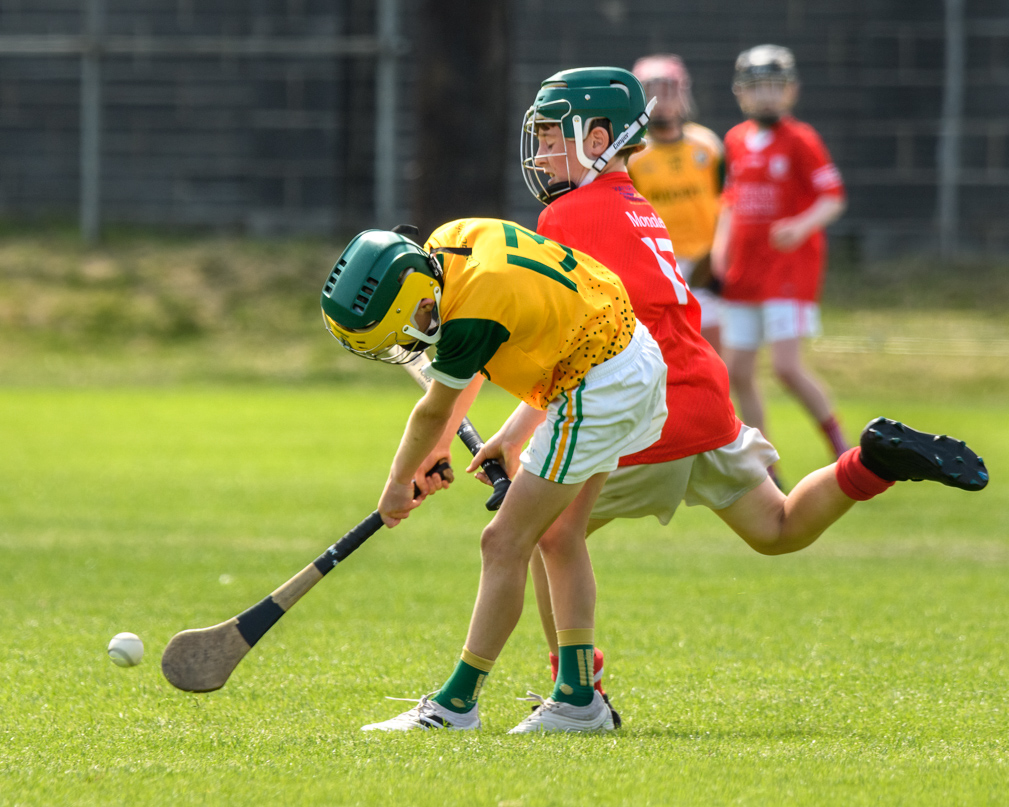  Beacon Hospital Hurling 7s - U12 Final