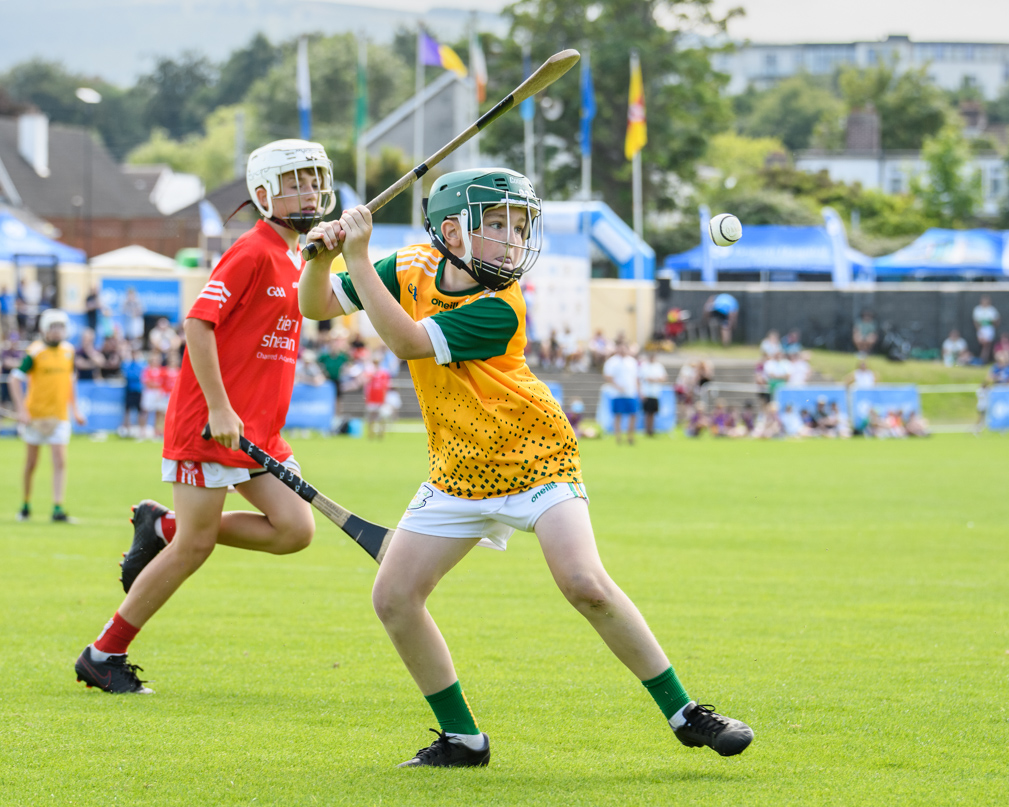  Beacon Hospital Hurling 7s - U12 Final