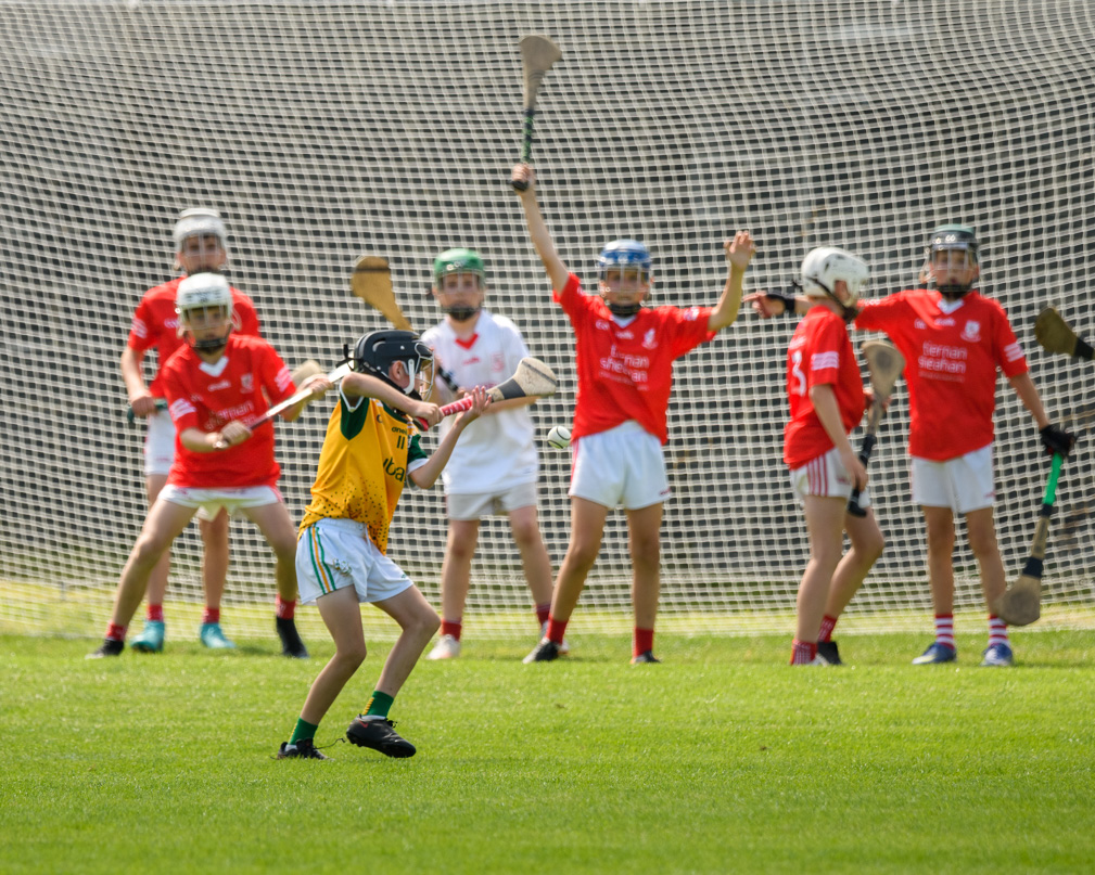  Beacon Hospital Hurling 7s - U12 Final