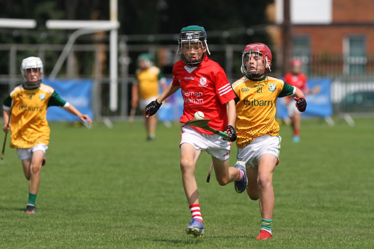 Beacon Hospital Hurling 7s - U12 Final