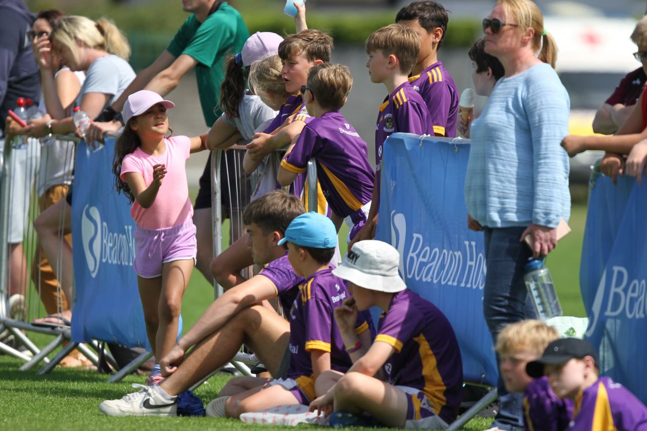  Beacon Hospital Hurling 7s - U12 Final