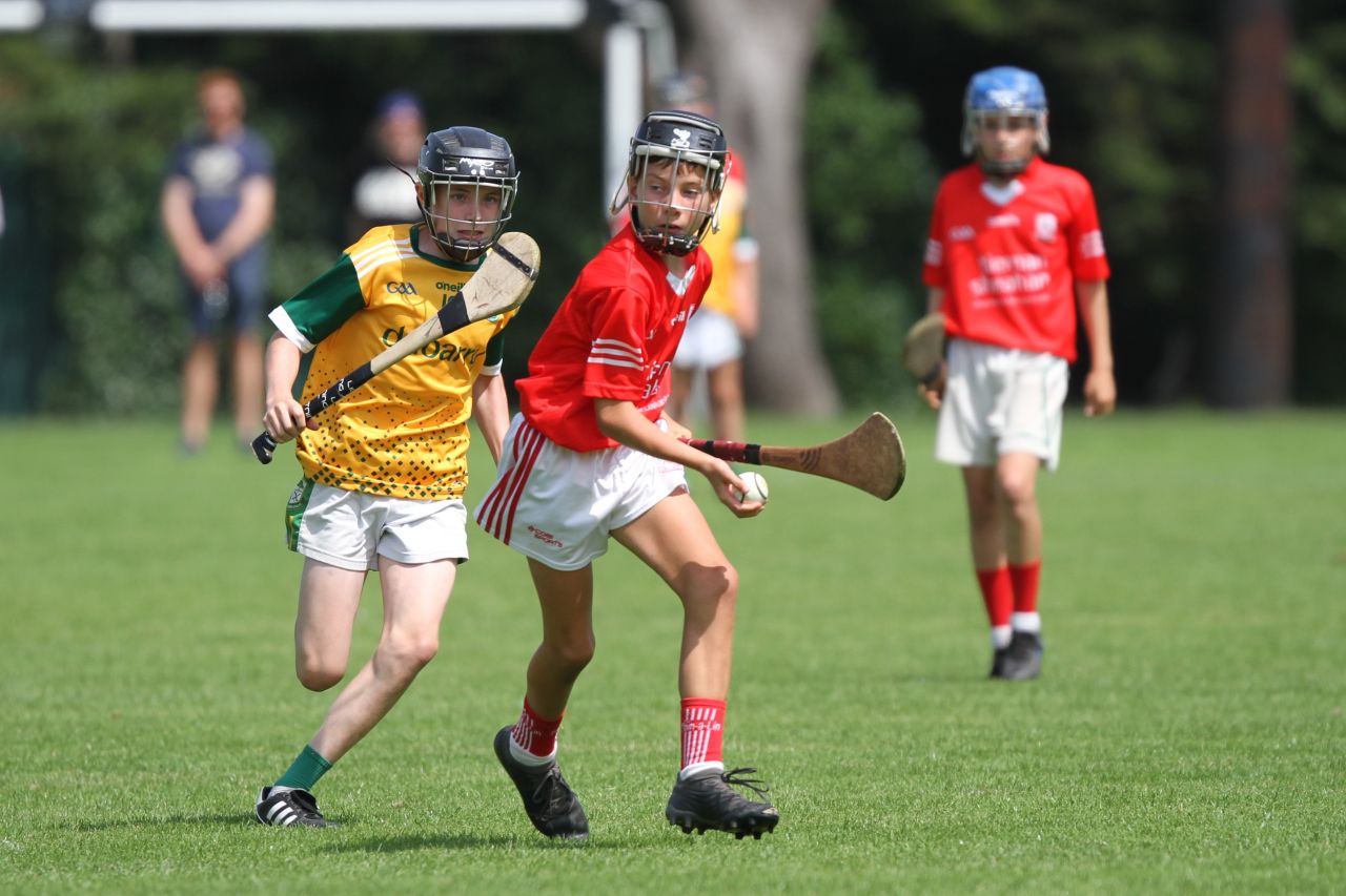  Beacon Hospital Hurling 7s - U12 Final