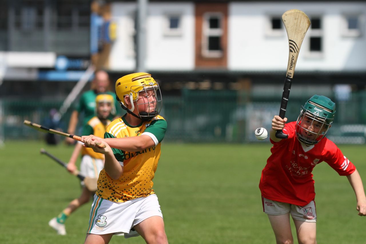  Beacon Hospital Hurling 7s - U12 Final