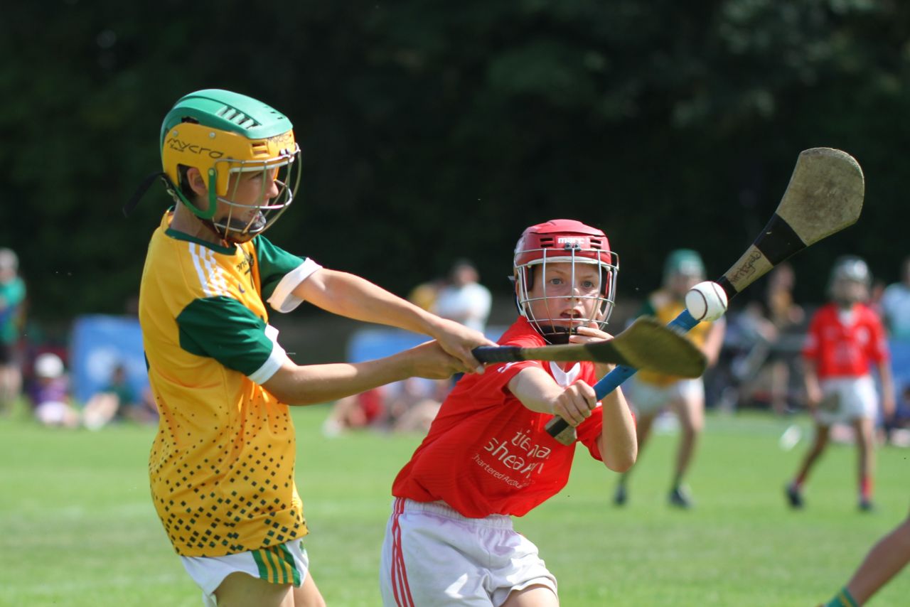  Beacon Hospital Hurling 7s - U12 Final