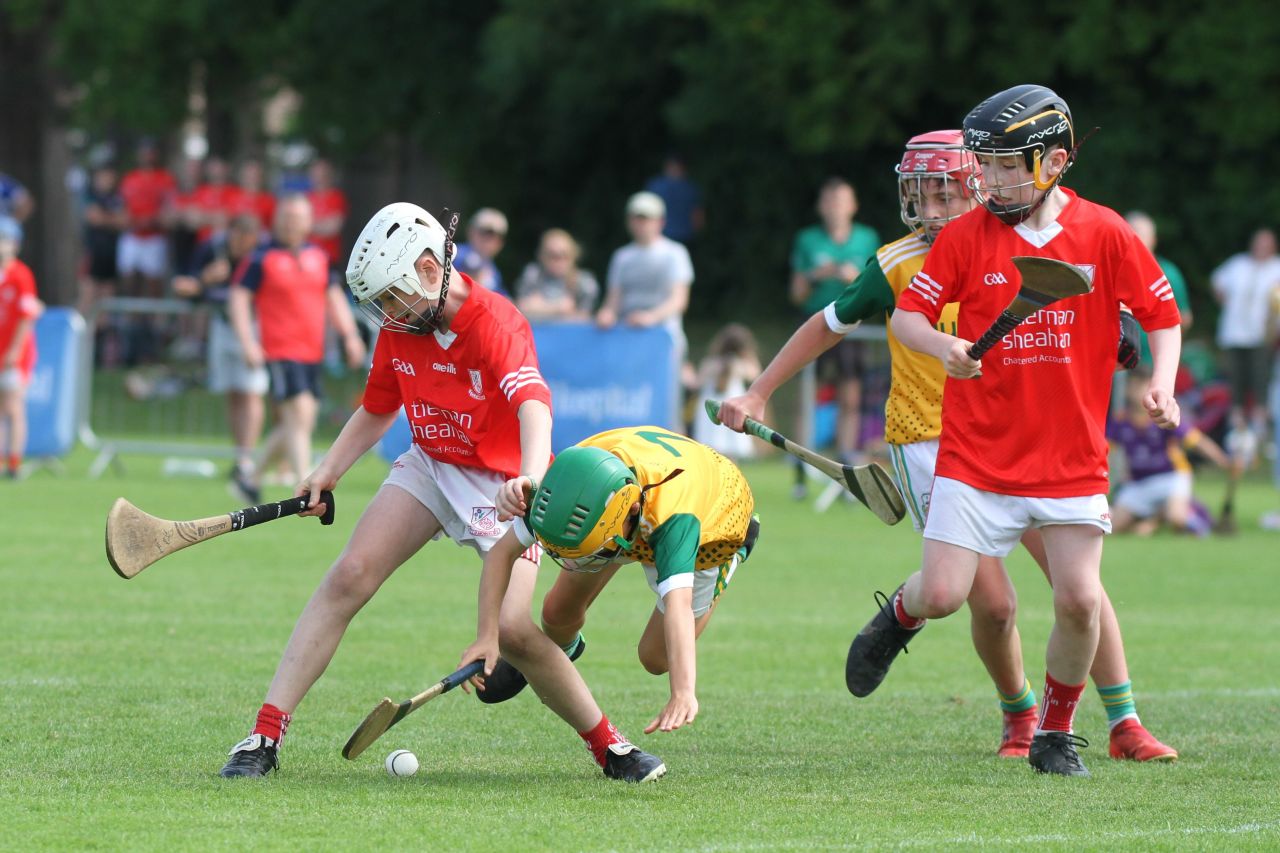  Beacon Hospital Hurling 7s - U12 Final