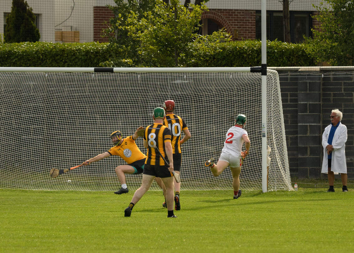 Lisdowney win Cup final in Beacon Hospital Hurling 7s