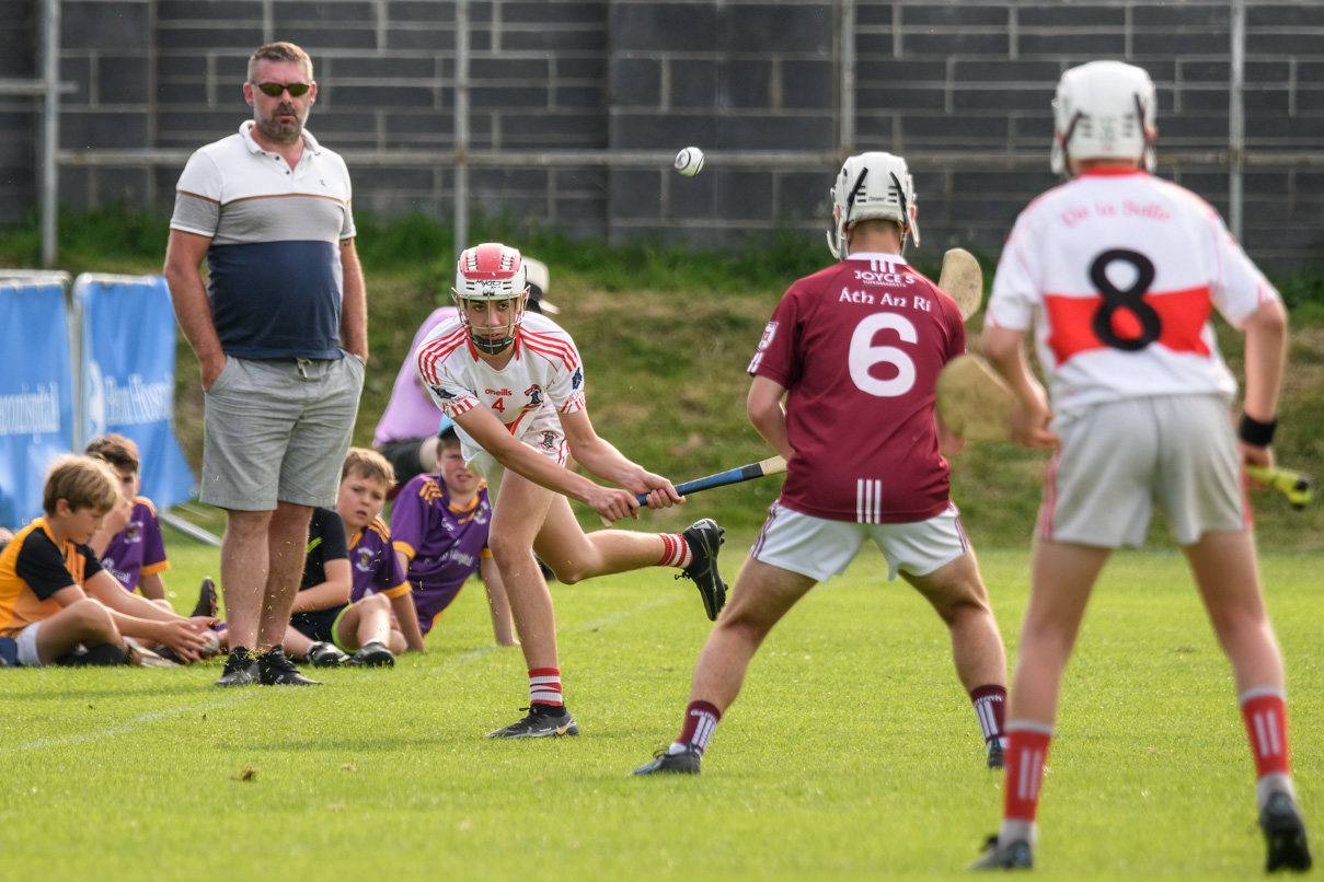 Lisdowney win Cup final in Beacon Hospital Hurling 7s