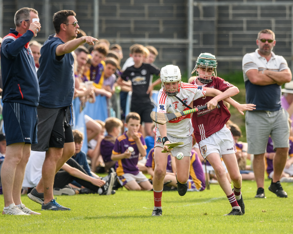 Lisdowney win Cup final in Beacon Hospital Hurling 7s