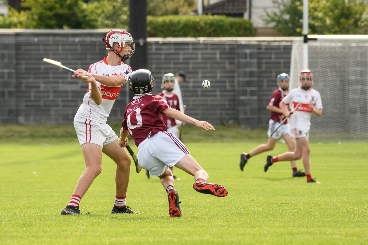 Lisdowney win Cup final in Beacon Hospital Hurling 7s