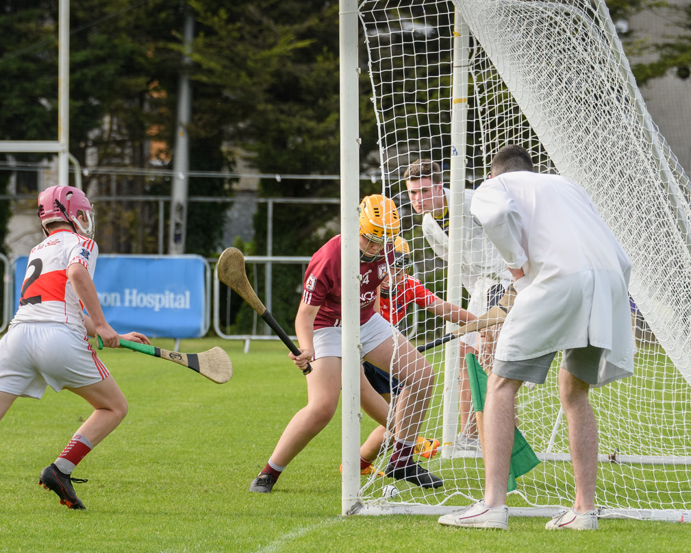 Lisdowney win Cup final in Beacon Hospital Hurling 7s