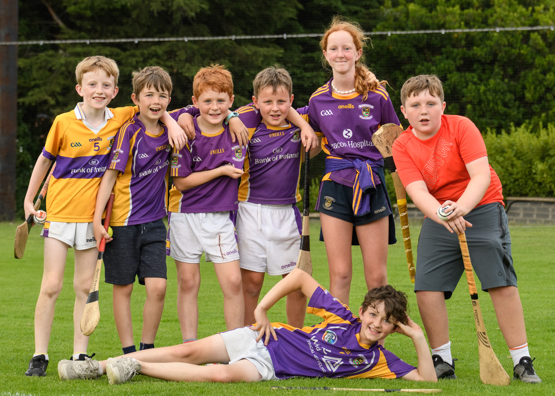 Lisdowney win Cup final in Beacon Hospital Hurling 7s