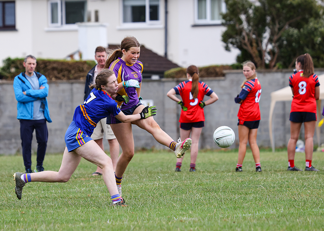 Kilmacud Crokes Beacon Hospital Ladies Football 7's Saturday July 30th - Lots More Photo's