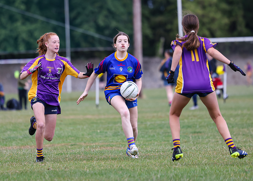 Kilmacud Crokes Beacon Hospital Ladies Football 7's Saturday July 30th - Lots More Photo's