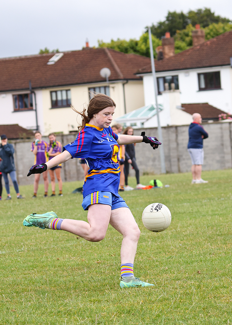 Kilmacud Crokes Beacon Hospital Ladies Football 7's Saturday July 30th - Lots More Photo's