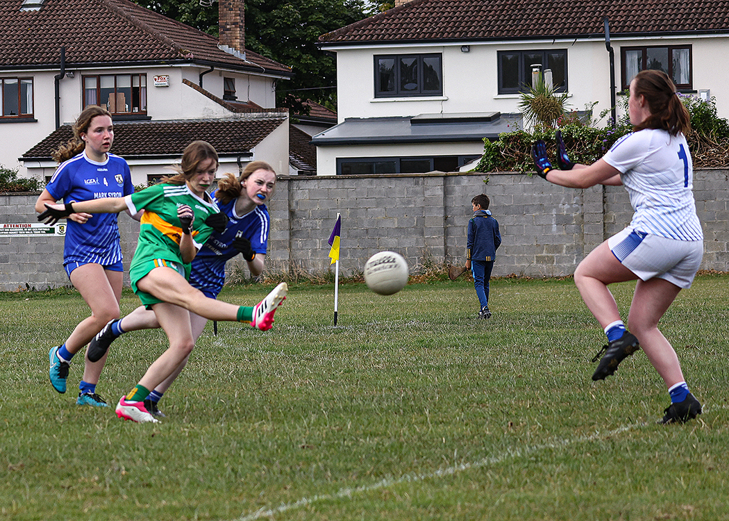 Kilmacud Crokes Beacon Hospital Ladies Football 7's Saturday July 30th - Lots More Photo's