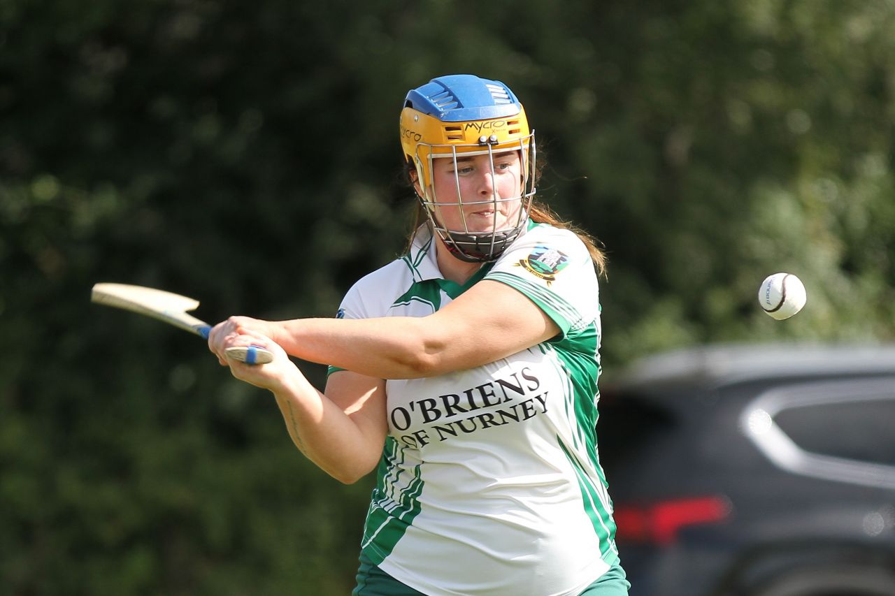 Photos from the Beacon Hospital Camogie  7s