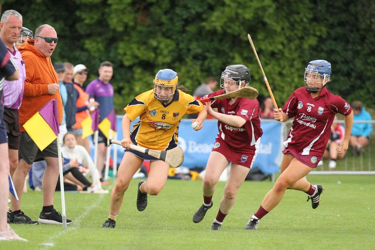 Photos from the Beacon Hospital Camogie  7s