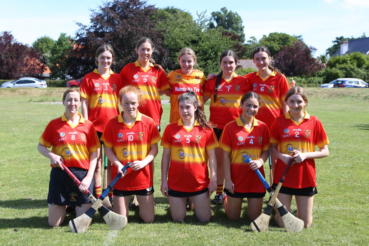 St Martins of Wexford win Beacon Hospital All Ireland 7s