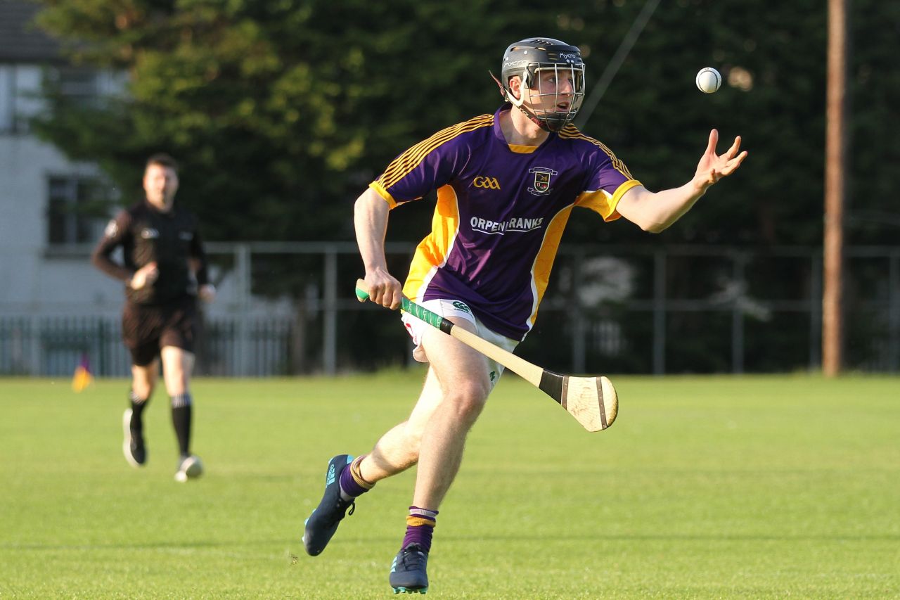 Junior F Hurling Championship versus O'Tooles