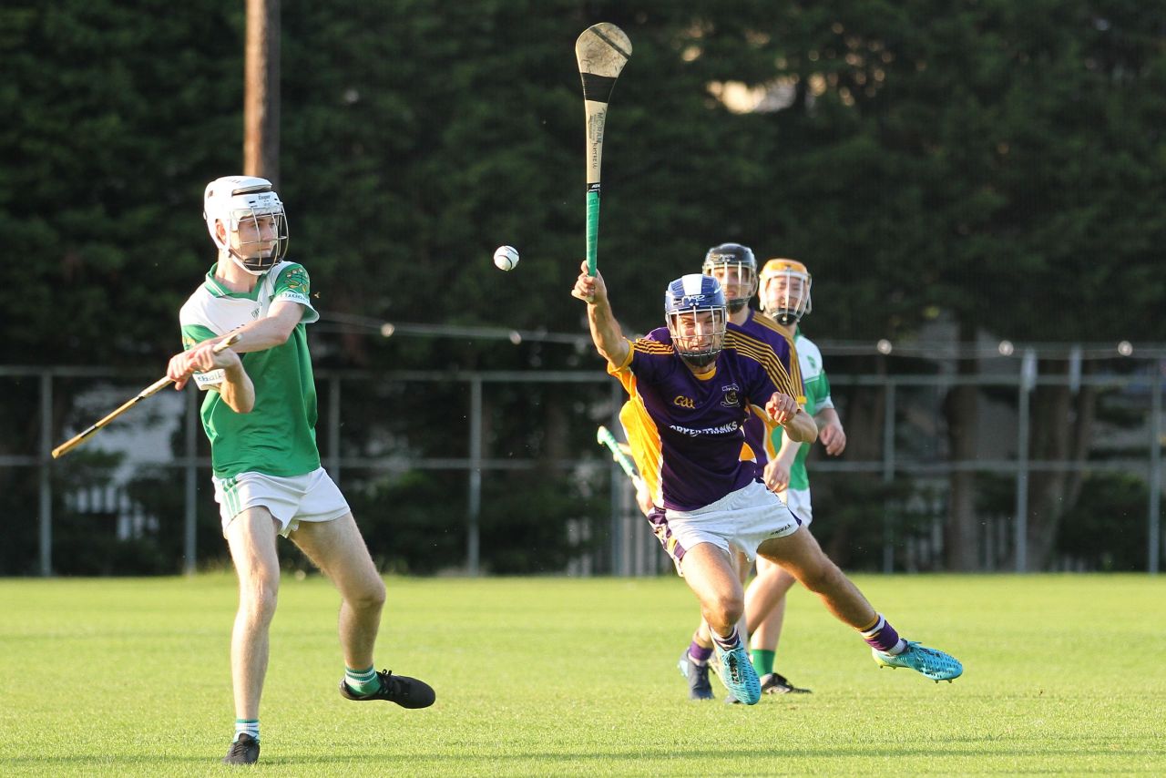 Junior F Hurling Championship versus O'Tooles