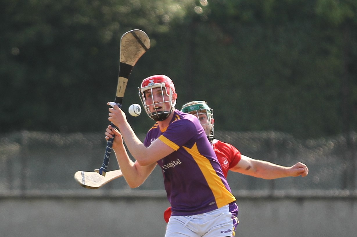 Senior 1 Hurling Championship vs St Brigids