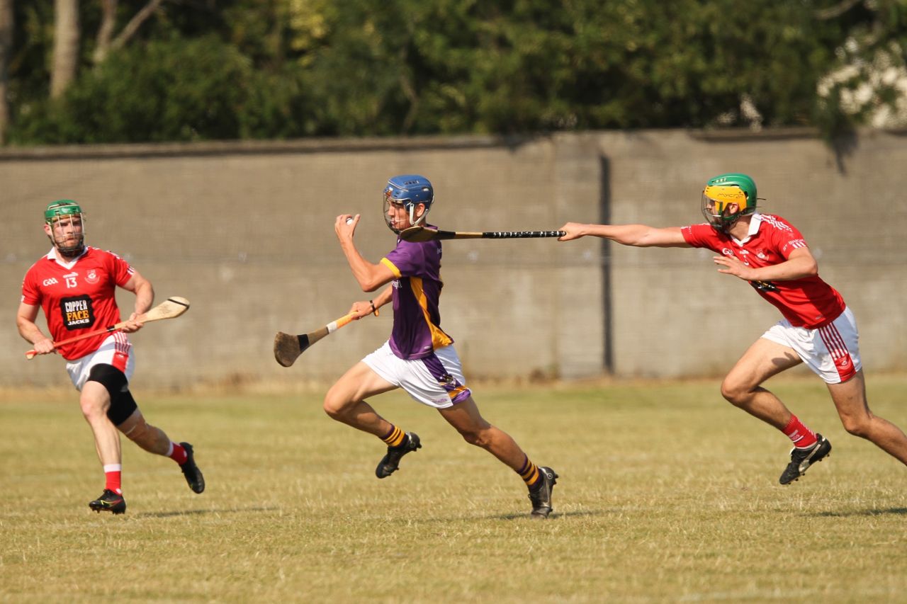 Senior 1 Hurling Championship vs St Brigids