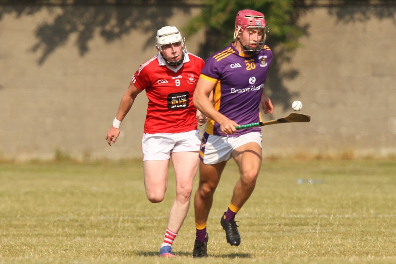 Senior 1 Hurling Championship vs St Brigids