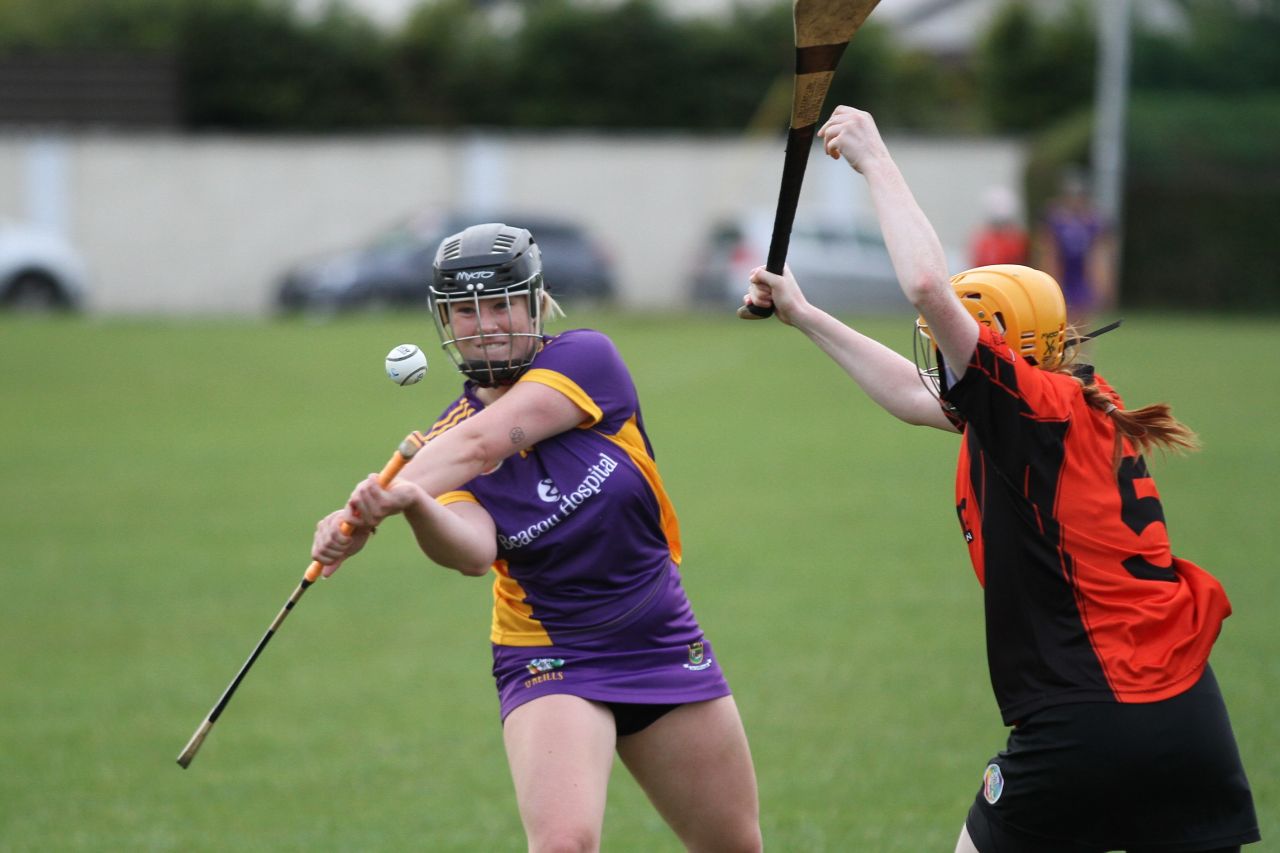 Camogie Go-Ahead Championship Inter vs Ballinteer St Johns