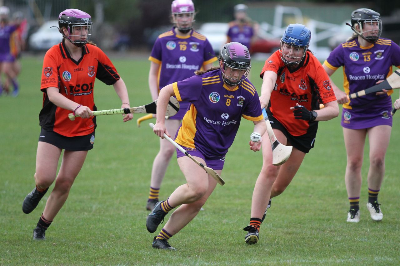 Camogie Go-Ahead Championship Inter vs Ballinteer St Johns