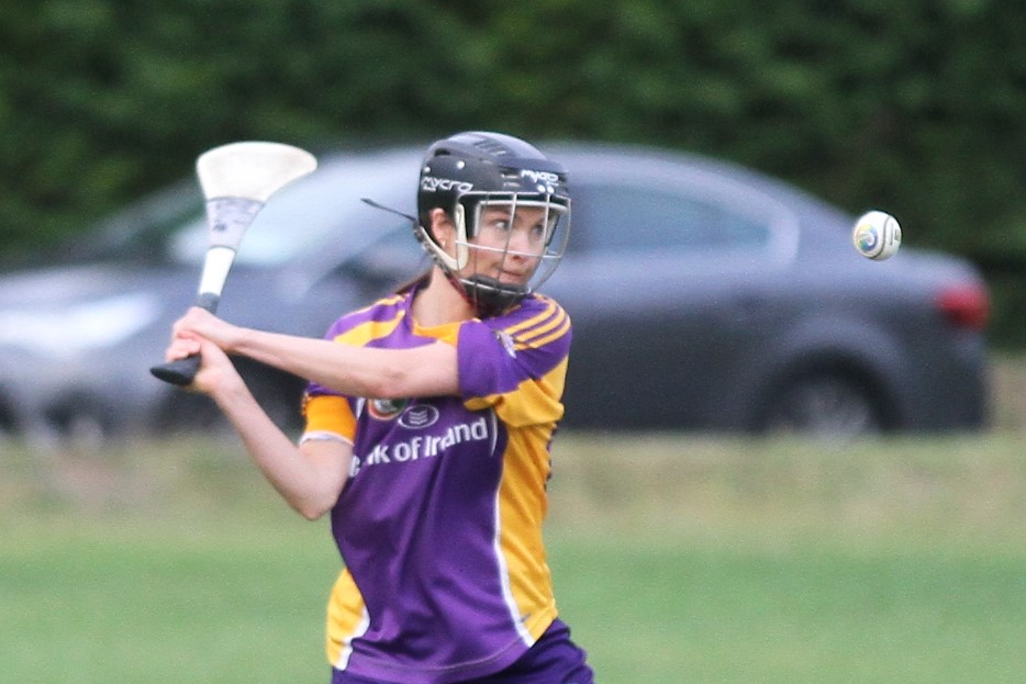 Camogie Go-Ahead Championship Inter vs Ballinteer St Johns