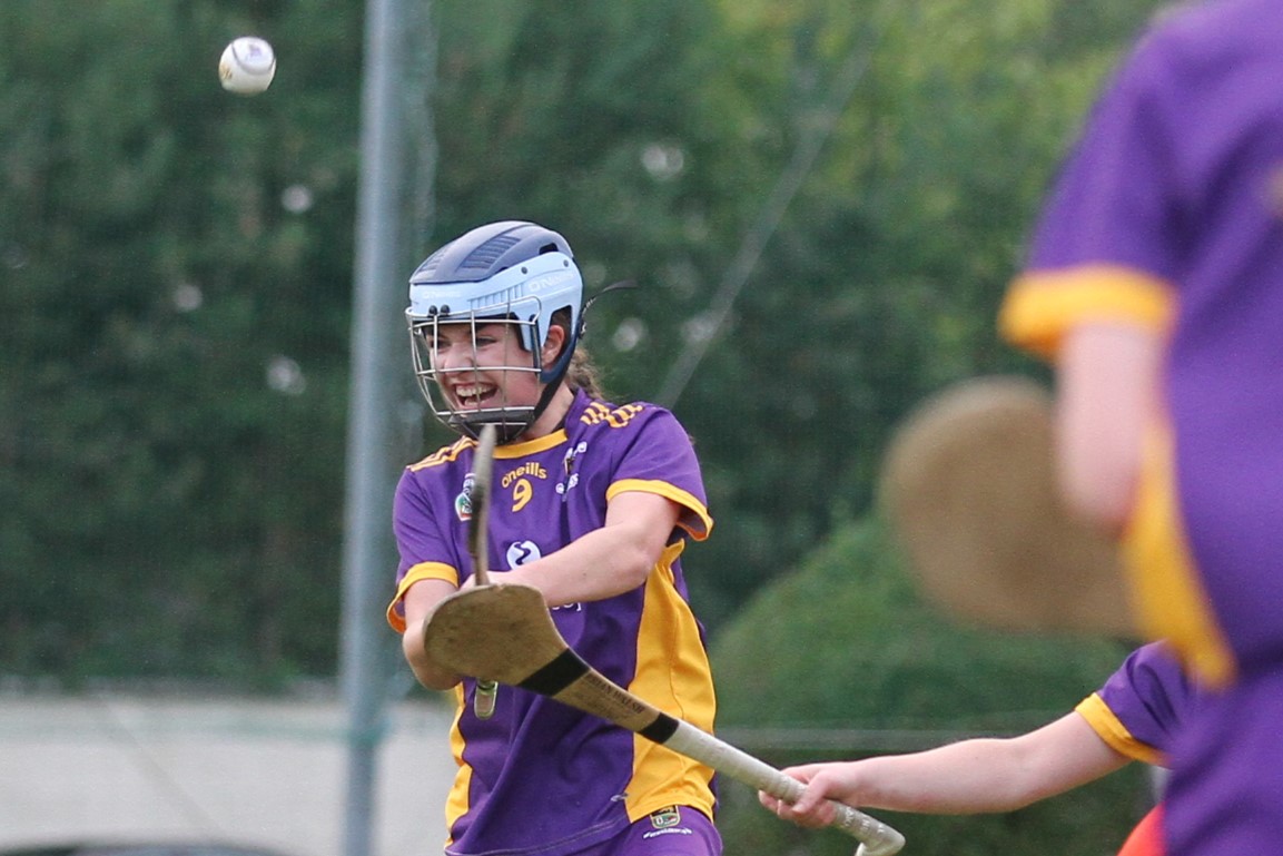 Camogie Go-Ahead Championship Inter vs Ballinteer St Johns