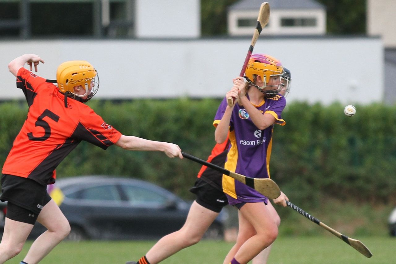 Camogie Go-Ahead Championship Inter vs Ballinteer St Johns