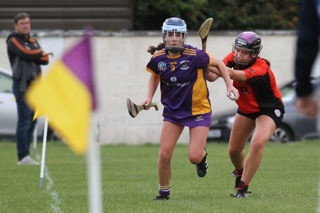 Camogie Go-Ahead Championship Inter vs Ballinteer St Johns