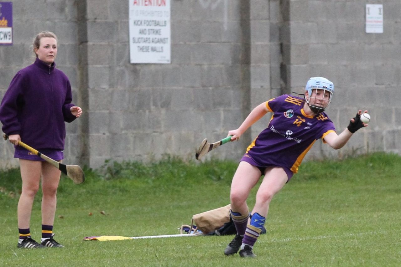 Camogie Go-Ahead Championship Inter vs Ballinteer St Johns