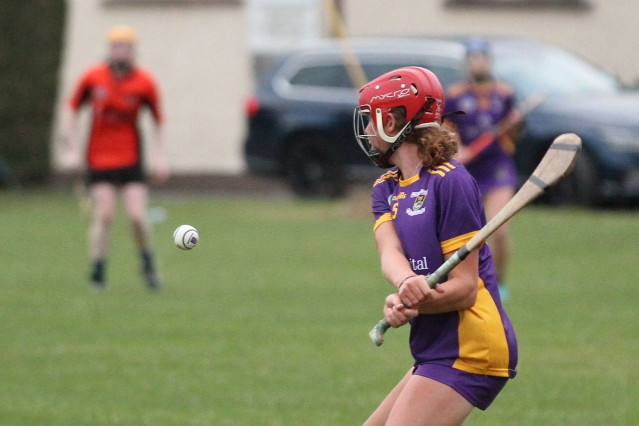 Camogie Go-Ahead Championship Inter vs Ballinteer St Johns