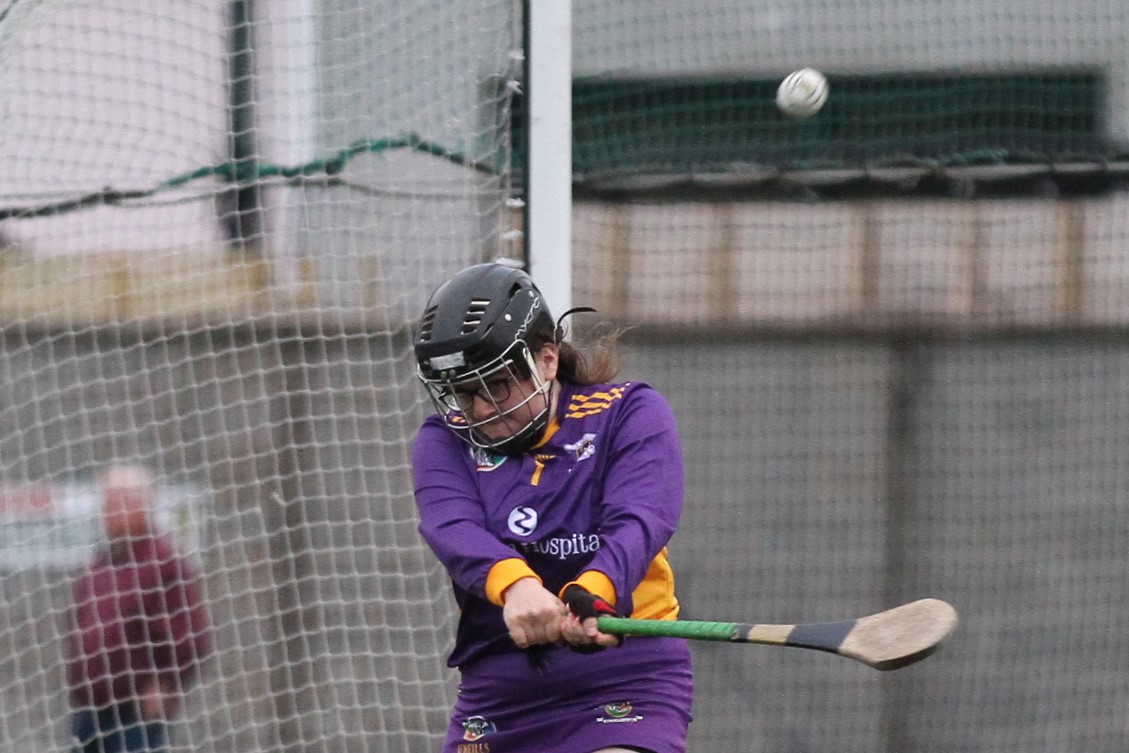 Camogie Go-Ahead Championship Inter vs Ballinteer St Johns