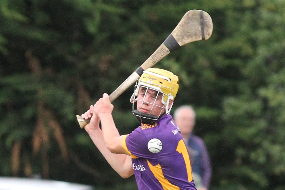 U17 A Hurlers vs Dublin U16 Team